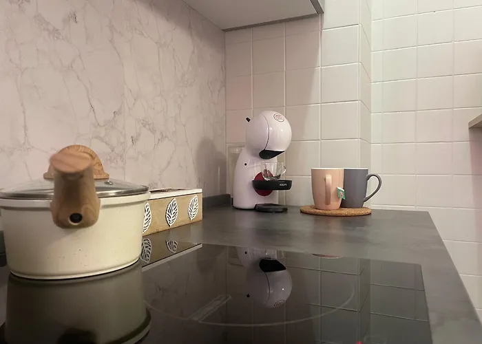 Apartamento Incentrum - Selfie Alba (Piedmont)